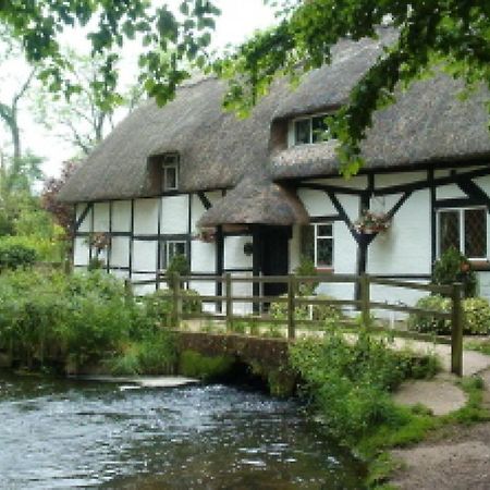 Stunning 2 Bedroom Flat In A Central Location New Alresford Exteriör bild